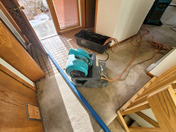 Best Flood damage cleanup  in Cowan, TN