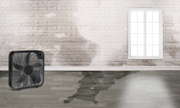 Best Commercial water damage restoration  in Cowan, TN