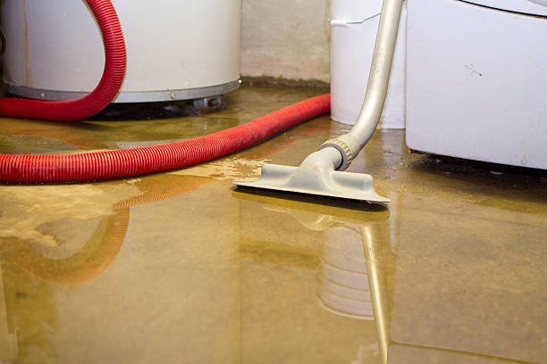 Best Water damage restoration near me  in Cowan, TN