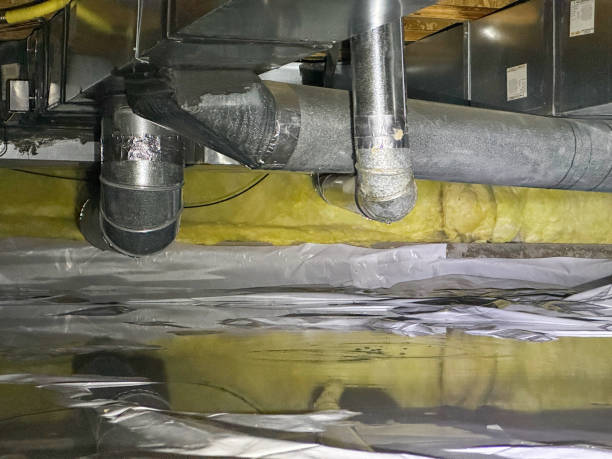 Best Local water damage restoration  in Cowan, TN