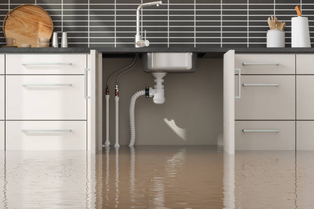 Best Water damage restoration near me  in Cowan, TN