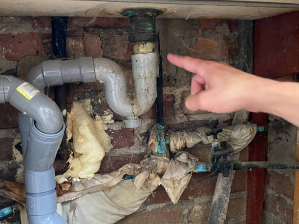 Best Flood damage cleanup  in Cowan, TN