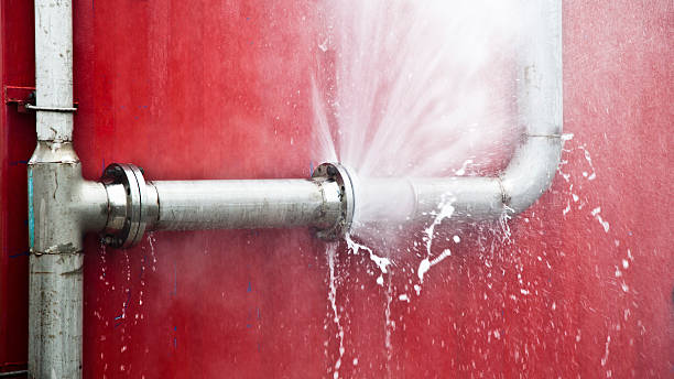 Best Water damage restoration process  in Cowan, TN